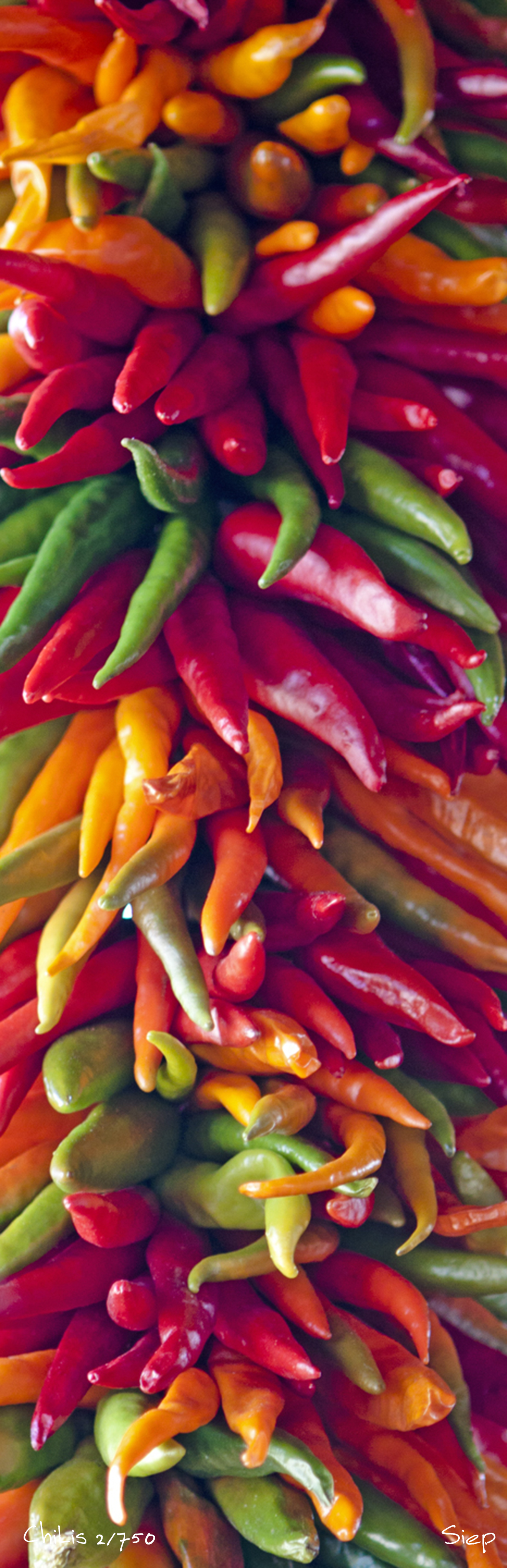 multi colored chilis